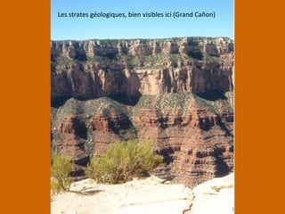 Les strates géologiques, bien visibles ici (Grand Cañon)
 