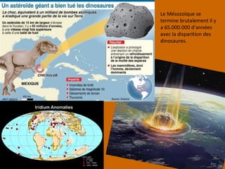 Le Mésozoïque se
termine brutalement il y
a 65.000.000 d’années
avec la disparition des
dinosaures.
 