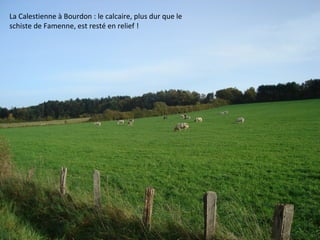 La Calestienne à Bourdon : le calcaire, plus dur que le
schiste de Famenne, est resté en relief !
 