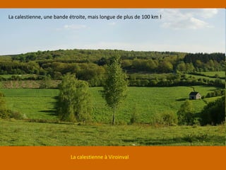 La calestienne à Viroinval
La calestienne, une bande étroite, mais longue de plus de 100 km !
 