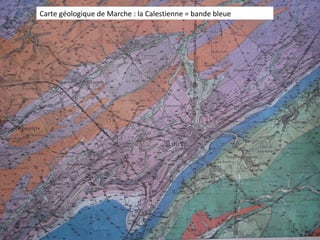 Carte géologique de Marche : la Calestienne = bande bleue
 