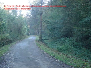 Le Fond des Vaulx, Marche en Famenne, au cœur de la Calestienne.
Vallée sèche de la Marchette
 