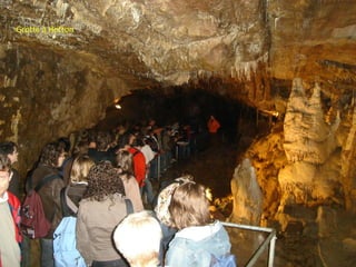 Grotte à Hotton
 