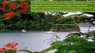 La Dominique doit composer avec trois langues sur son territoire: le créole,
la langue de la majorité des Dominiquais, l'anglais, la langue officielle
léguées par les derniers colonisateurs, puis le français, la langue ayant servi
de base lexicale au créole dominiquais et celle des îles voisines.
Petite anse en dominique
 