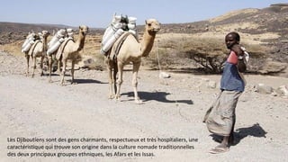 Les Djiboutiens sont des gens charmants, respectueux et très hospitaliers, une
caractéristique qui trouve son origine dans la culture nomade traditionnelles
des deux principaux groupes ethniques, les Afars et les Issas.
 