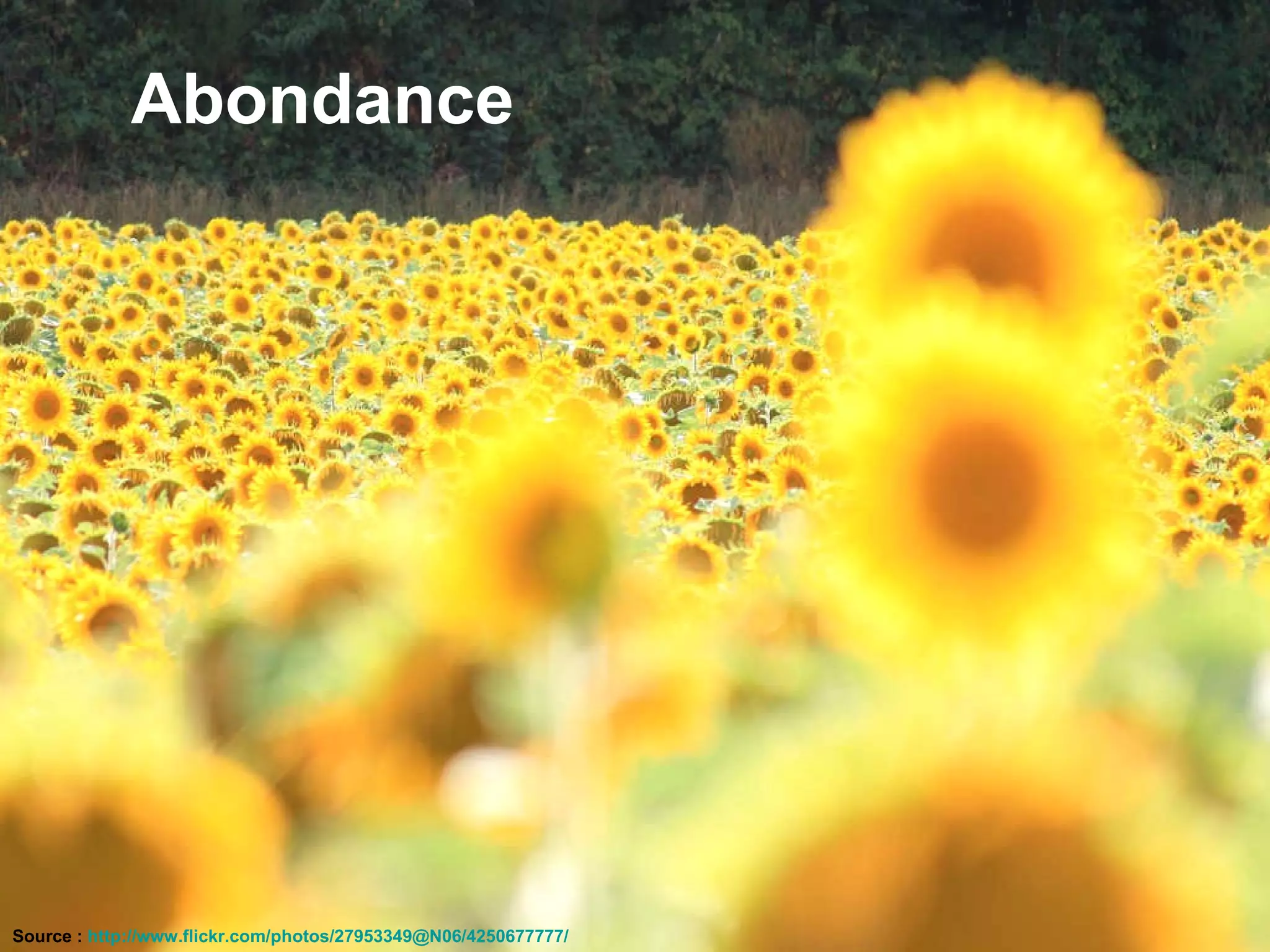 Source :  http://www.flickr.com/photos/27953349@N06/4250677777/   Abondance 