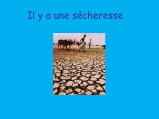 Il y a une sécheresse
 