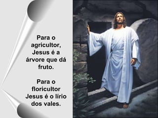 Para o
agricultor,
Jesus é a
árvore que dá
fruto.
Para o
floricultor
Jesus é o lírio
dos vales.
 