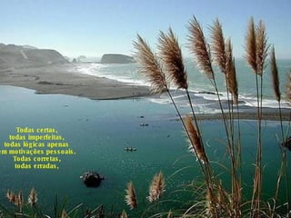 Todas certas, todas imperfeitas, todas lógicas apenas em motivações pessoais. Todas corretas, todas erradas, 