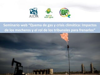 Seminario web “Quema de gas y crisis climática: Impactos
de los mecheros y el rol de los tribunales para frenarlos”
 