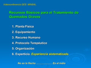 Recursos Básicos para el Tratamiento de Quemados Graves Planta Física Equipamiento Recurso Humano Protocolo Terapéutico Organización Experticia.  Experiencia sistematizada . No es la flecha ………………. Es el indio Videoconferencia GES. MINSAL. 