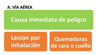 A. VÍA AÉREA
Causa inmediata de peligro
Lesión por
inhalación
Quemaduras
de cara o cuello
 