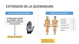 EXTENSION DE LA QUEMADURA
REGLA DE LA PALMA DE LA MANO
SE MIDE DESDE EL BORDE
DE LA MUÑECA HASTA LA
PUNTA DE LOS DEDOS (del
mismo paciente)
Quemaduras pequeñas
REGLA DE LOS 9 DE WALLACE
En adultos y niños
mayores de 14 años.
 