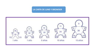 LA CARTA DE LUND Y BROWDER
 