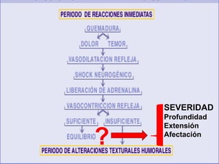 ? 
SEVERIDAD 
Profundidad 
Extensión 
Afectación 
 