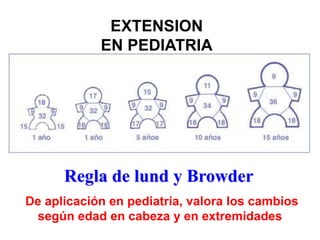 EXTENSION 
EN PEDIATRIA 
Regla de lund y Browder 
De aplicación en pediatría, valora los cambios 
según edad en cabeza y en extremidades 
 