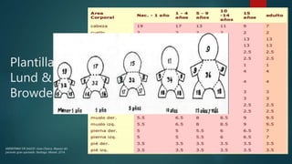 Plantilla de
Lund &
Browder
MINISTERIO DE SALUD. Guía Clínica. Manejo del
paciente gran quemado. Santiago: Minsal, 2016
 