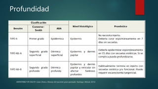 Profundidad
MINISTERIO DE SALUD. Guía Clínica. Manejo del paciente gran quemado. Santiago: Minsal, 2016
 