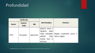 Profundidad
MINISTERIO DE SALUD. Guía Clínica. Manejo del paciente gran quemado. Santiago: Minsal, 2016
 