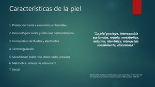 Características de la piel
1. Protección frente a elementos ambientales
2. Inmunológica: sudor y sebo son bacteriostáticos
3. Homeostasis de fluidos y electrolitos
4. Termoregulación
5. Sensibilidad: (calor, frío, dolor, tacto, presión)
6. Metabólica: síntesis de vitamina D
7. Social
“La piel protege, intercambia
sustancias, regula, metaboliza,
informa, identifica, interactúa
socialmente, discrimina”
Williams WG, Phillips LG. Patofisiología de la quemadura. En Herndon DN,
ed. Total Burn Care, Primera edición. Londres: WB Saunders, 1996: 64.
 