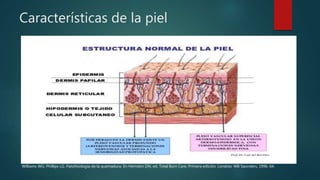 Características de la piel
Williams WG, Phillips LG. Patofisiología de la quemadura. En Herndon DN, ed. Total Burn Care, Primera edición. Londres: WB Saunders, 1996: 64.
 