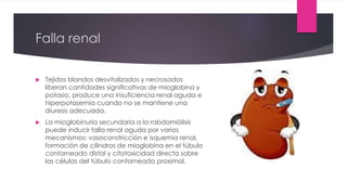 Falla renal
 Tejidos blandos desvitalizados y necrosados
liberan cantidades significativas de mioglobina y
potasio, produce una insuficiencia renal aguda e
hiperpotasemia cuando no se mantiene una
diuresis adecuada.
 La mioglobinuria secundaria a la rabdomiólisis
puede inducir falla renal aguda por varios
mecanismos: vasoconstricción e isquemia renal,
formación de cilindros de mioglobina en el túbulo
contorneado distal y citotoxicidad directa sobre
las células del túbulo contorneado proximal.
 