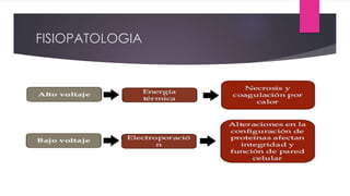 FISIOPATOLOGIA
 
