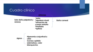 Cuadro clínico
Solo daño palpebral y
anexos
sintomas
*dolor
*agudeza visual
*sensacion de
cuerpo extraño
*fotofobia
*epifora
signos
Hiperemia conjuntival o
ciliar
Cornea: epitelio
edematoso, color
blanquecino
Daño corneal
 