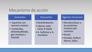 Quemadura química y por congelamiento | PPTX