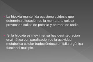 • La hipoxia mantenida ocasiona acidosis que
determina alteración de la membrana celular
provocado salida de potasio y entrada de sodio.
• Si la hipoxia es muy intensa hay desintegración
enzimática con paralización de la actividad
metabólica celular traduciéndose en falla orgánica
funcional múltiple.
 