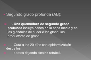 • Segundo grado profunda (AB):
 - Una quemadura de segundo grado
profunda incluye daños en la capa media y en
las glándulas de sudor o las glándulas
productoras de grasa.
 - Cura a los 20 días con epidermización
desde los
 bordes dejando cicatriz retráctil.
 