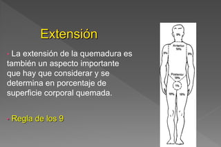 • La extensión de la quemadura es
también un aspecto importante
que hay que considerar y se
determina en porcentaje de
superficie corporal quemada.
• Regla de los 9
 