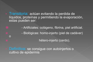 • Transitoria: actúan evitando la perdida de
líquidos, proteínas y permitiendo la evaporación,
estas pueden ser:
 - Artificiales: colágeno, fibrina, piel artificial.
 - Biológicas: homo-injerto (piel de cadáver)
o
 hétero-injerto (cerdo).
• Definitiva: se consigue con autoinjertos o
cultivo de epidermis
 