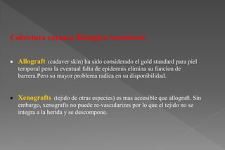 Cobertura cutanea Biologica transitoria
 Allograft (cadaver skin) ha sido considerado el gold standard para piel
temporal pero la eventual falta de epidermis elimina su funcion de
barrera.Pero su mayor problema radica en su disponibilidad.
 Xenografts (tejido de otras especies) es mas accesible que allograft. Sin
embargo, xenografts no puede re-vascularizes por lo que el tejido no se
integra a la herida y se descompone.
 