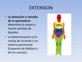 EXTENSION
• La extensión o tamaño
  de la quemadura
  determina la mayor o
  menor pérdida de
  líquidos.
• La determinación se lo
  realiza de acuerdo a un
  sistema porcentual
  (Esquema de Wallace o
  de los nueves).
 