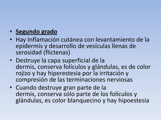 • Segundo grado
• Hay Inflamación cutánea con levantamiento de la
  epidermis y desarrollo de vesículas llenas de
  serosidad (flictenas)
• Destruye la capa superficial de la
  dermis, conserva folículos y glándulas, es de color
  rojizo y hay hiperestesia por la irritación y
  compresión de las terminaciones nerviosas
• Cuando destruye gran parte de la
  dermis, conserva sólo parte de los folículos y
  glándulas, es color blanquecino y hay hipoestesia
 