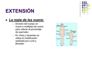 EXTENSIÓN
   La regla de los nueve:
         División del cuerpo en
          nueve o múltiples de nueve
          para valorar el porcentaje
          de quemado.
         En niños y lactantes se
          utiliza la modificación
          realizada por Lund y
          Browder.
 