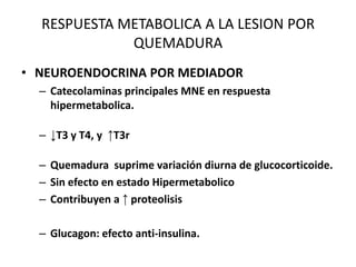 RESPUESTA METABOLICA A LA LESION POR
             QUEMADURA
• NEUROENDOCRINA POR MEDIADOR
  – Catecolaminas principales MNE en respuesta
    hipermetabolica.

  – ↓T3 y T4, y ↑T3r

  – Quemadura suprime variación diurna de glucocorticoide.
  – Sin efecto en estado Hipermetabolico
  – Contribuyen a ↑ proteolisis

  – Glucagon: efecto anti-insulina.
 