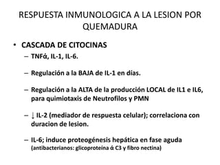 RESPUESTA INMUNOLOGICA A LA LESION POR
              QUEMADURA
• CASCADA DE CITOCINAS
  – TNFά, IL-1, IL-6.

  – Regulación a la BAJA de IL-1 en días.

  – Regulación a la ALTA de la producción LOCAL de IL1 e IL6,
    para quimiotaxis de Neutrofilos y PMN

  – ↓ IL-2 (mediador de respuesta celular); correlaciona con
    duracion de lesion.

  – IL-6; induce proteogénesis hepática en fase aguda
    (antibacterianos: glicoproteína ά C3 y fibro nectina)
 
