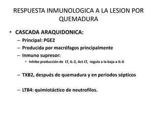 RESPUESTA INMUNOLOGICA A LA LESION POR
              QUEMADURA
• CASCADA ARAQUIDONICA:
  – Principal: PGE2
  – Producida por macrófagos principalmente
  – Inmuno supresor:
     • Inhibe producción de LT, IL-2, Act LT, regula a la baja a IL-6


  – TXB2, después de quemadura y en periodos sépticos

  – LTB4: quimiotáctico de neutrofilos.
 