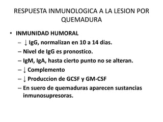 RESPUESTA INMUNOLOGICA A LA LESION POR
              QUEMADURA
• INMUNIDAD HUMORAL
   – ↓ IgG, normalizan en 10 a 14 dias.
   – Nivel de IgG es pronostico.
   – IgM, IgA, hasta cierto punto no se alteran.
   – ↓ Complemento
   – ↓ Produccion de GCSF y GM-CSF
   – En suero de quemaduras aparecen sustancias
     inmunosupresoras.
 
