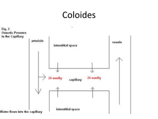 Coloides
 