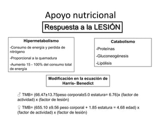 Apoyo nutricional
                    Respuesta a la LESIÓN
        Hipermetabolismo                                  Catabolismo
-Consumo de energía y perdida de                 -Proteínas
nitrógeno
-Proporcional a la quemadura
                                                 -Gluconeogénesis

-Aumento 15 - 100% del consumo total             -Lipólisis
de energía

                      Modificación en la ecuación de
                             Harris- Benedict

    ♂ TMB= (66.47±13.75peso corporal±5.0 estatura= 6.76)x (factor de
    actividad) x (factor de lesión)
    ♀ TMB= (655.10 ±9.56 peso corporal + 1.85 estatura = 4.68 edad) x
    (factor de actividad) x (factor de lesión)
 