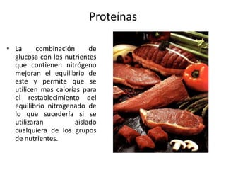 Proteínas

• La      combinación     de
  glucosa con los nutrientes
  que contienen nitrógeno
  mejoran el equilibrio de
  este y permite que se
  utilicen mas calorías para
  el restablecimiento del
  equilibrio nitrogenado de
  lo que sucedería si se
  utilizaran         aislado
  cualquiera de los grupos
  de nutrientes.
 