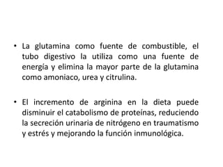 • La glutamina como fuente de combustible, el
  tubo digestivo la utiliza como una fuente de
  energía y elimina la mayor parte de la glutamina
  como amoniaco, urea y citrulina.

• El incremento de arginina en la dieta puede
  disminuir el catabolismo de proteínas, reduciendo
  la secreción urinaria de nitrógeno en traumatismo
  y estrés y mejorando la función inmunológica.
 