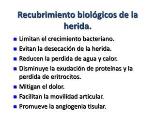 Recubrimiento biológicos de la
              herida.
   Limitan el crecimiento bacteriano.
   Evitan la desecación de la herida.
   Reducen la perdida de agua y calor.
   Disminuye la exudación de proteínas y la
    perdida de eritrocitos.
   Mitigan el dolor.
   Facilitan la movilidad articular.
   Promueve la angiogenia tisular.
 