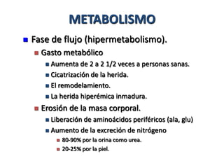 METABOLISMO
   Fase de flujo (hipermetabolismo).
       Gasto metabólico
          Aumenta de 2 a 2 1/2 veces a personas sanas.
          Cicatrización de la herida.

          El remodelamiento.

          La herida hiperémica inmadura.

       Erosión de la masa corporal.
          Liberación de aminoácidos periféricos (ala, glu)
          Aumento de la excreción de nitrógeno
                80-90% por la orina como urea.
                20-25% por la piel.
 