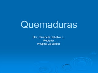Quemaduras
  Dra. Elizabeth Ceballos L.
           Pediatra
     Hospital La carlota
 