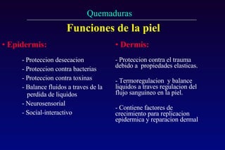 Funciones de la piel Epidermis: - Proteccion desecacion  - Proteccion contra bacterias  - Proteccion contra toxinas  - Balance fluidos a traves de la perdida de liquidos - Neurosensorial  - Social-interactivo Dermis: Proteccion contra el trauma  debido a  propiedades elasticas. Termoregulacion  y balance liquidos a traves regulacion del flujo sanguineo en la piel. - Contiene factores de crecimiento para replicacion epidermica y reparacion dermal 