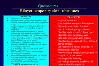 Bilayer temporary skin substitutes 
